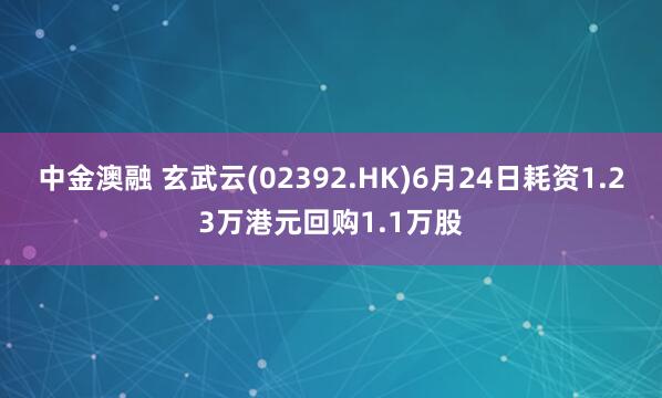 中金澳融 玄武云(02392.HK)6月24日耗资1.23万港元回购1.1万股