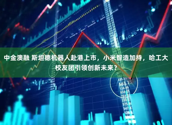 中金澳融 斯坦德机器人赴港上市，小米智造加持，哈工大校友团引领创新未来？