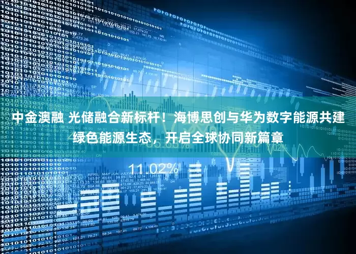 中金澳融 光储融合新标杆！海博思创与华为数字能源共建绿色能源生态，开启全球协同新篇章