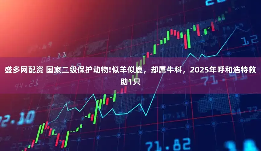 盛多网配资 国家二级保护动物!似羊似鹿，却属牛科，2025年呼和浩特救助1只