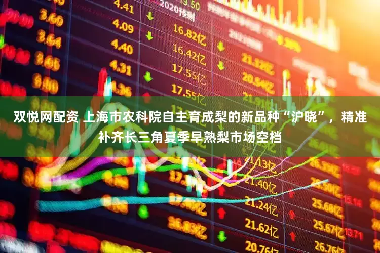 双悦网配资 上海市农科院自主育成梨的新品种“沪晓”，精准补齐长三角夏季早熟梨市场空档